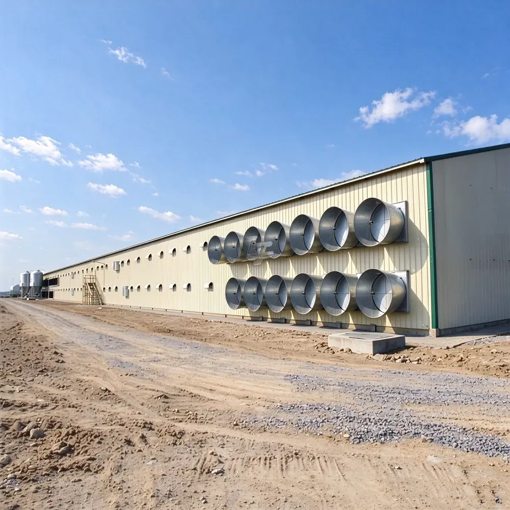 broiler house (4)