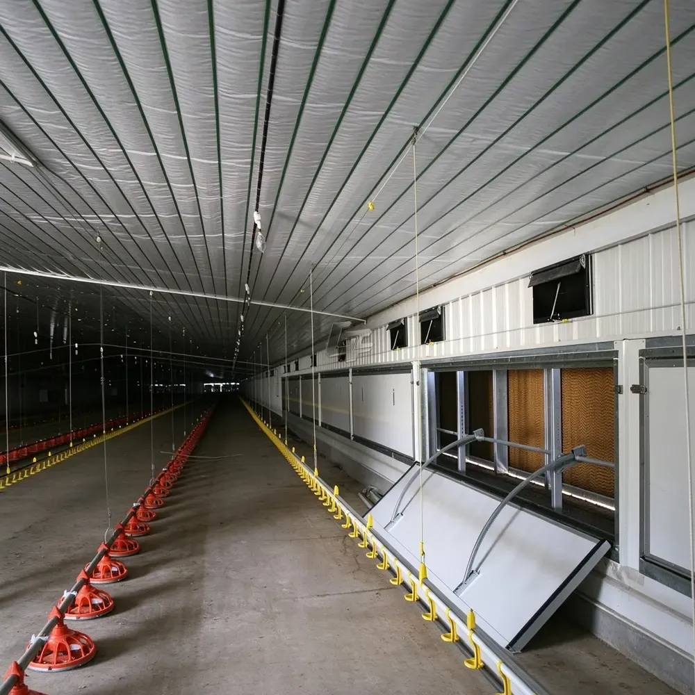 broiler house (7)