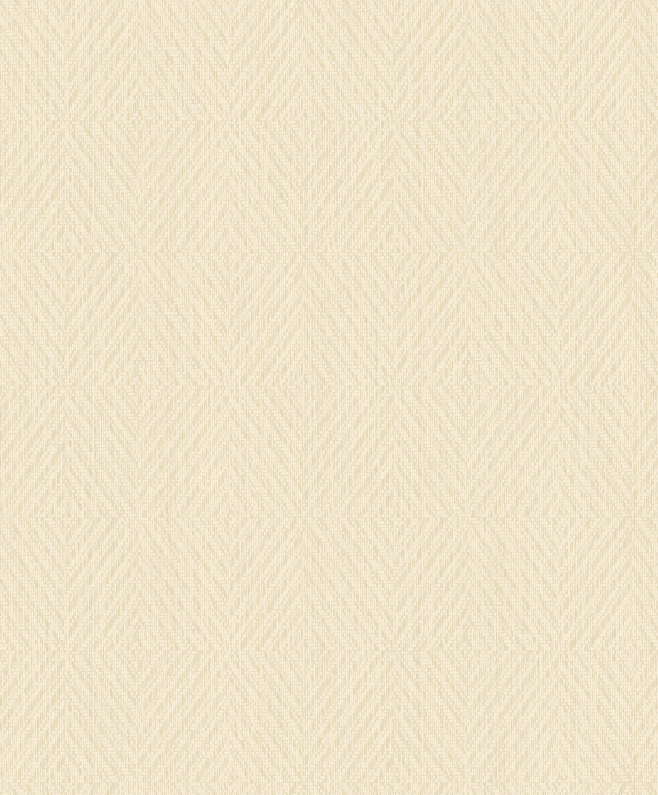 ZY206