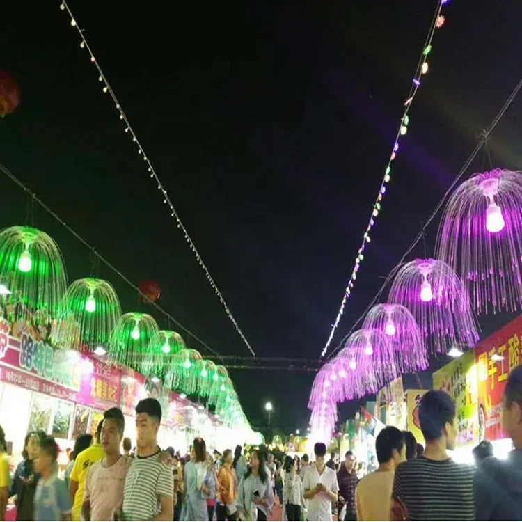 Fiber Optic Decorative Light application fiber optic decorative light