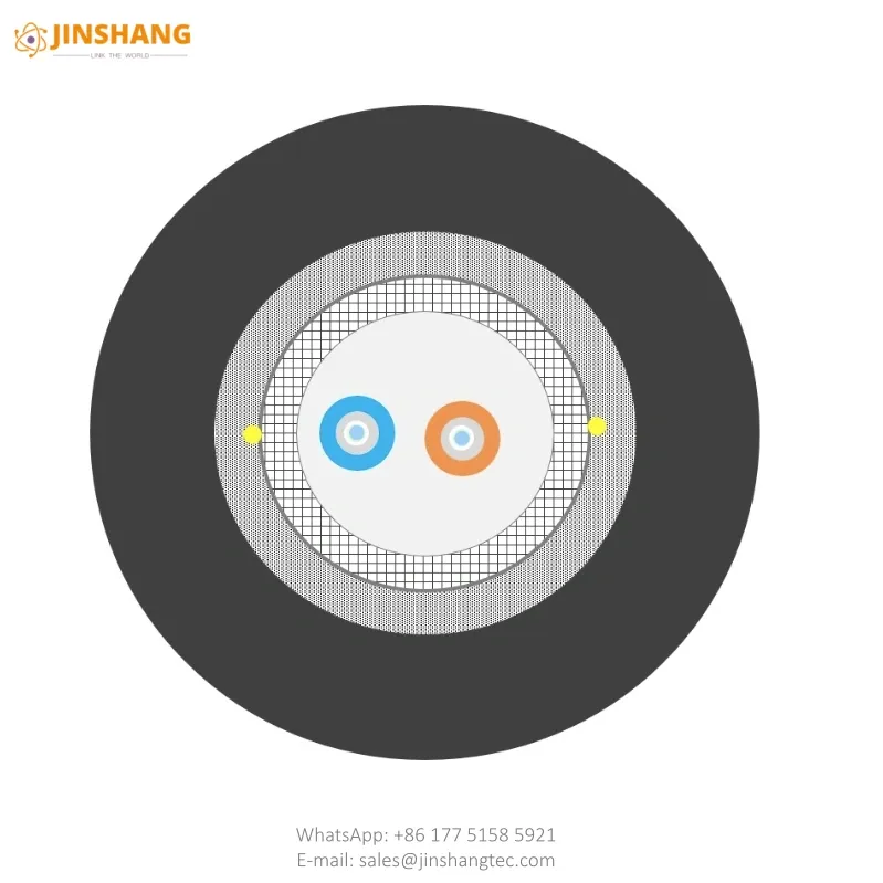Dual-Core Metal-Armored Fiber Optic Cable