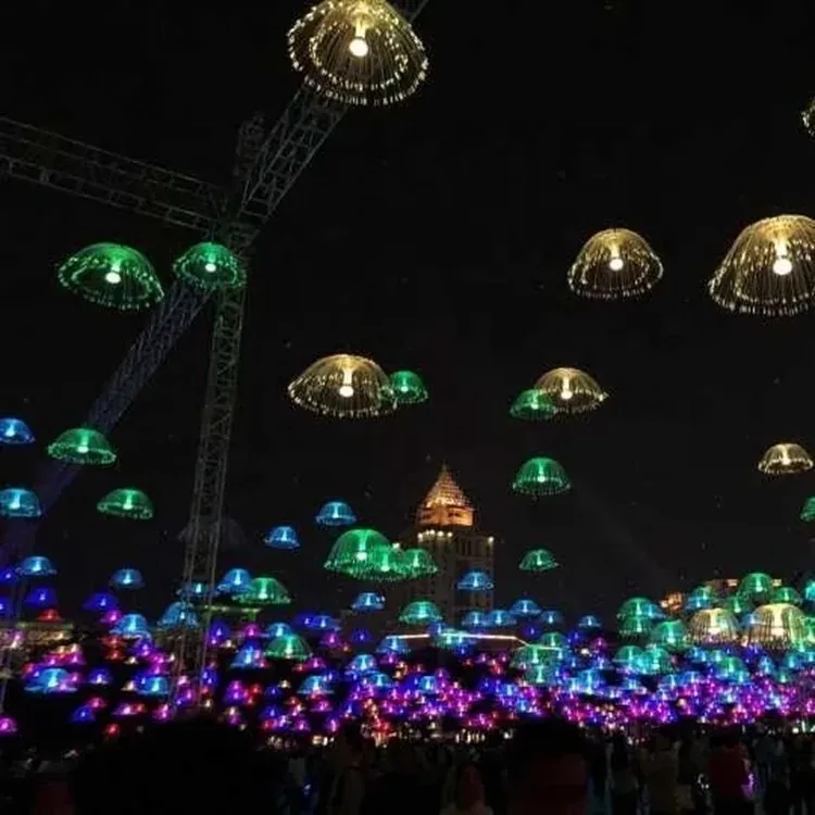 Fiber Optic Decorative Light main fiber optic decorative light