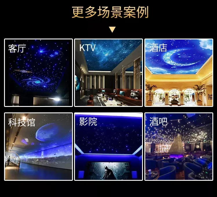 Fiber Optic Decorative Light structure fiber optic decorative light