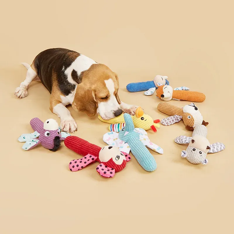 Assorted Small Plush Dog Toys wholesale from Lanshine Pet