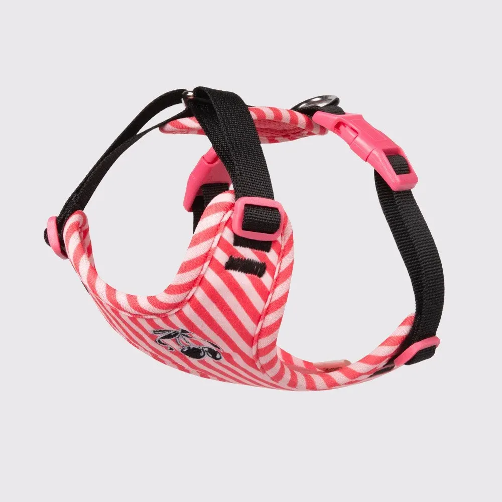 Striped Vest Dog Harness & Leash Set - photo 3