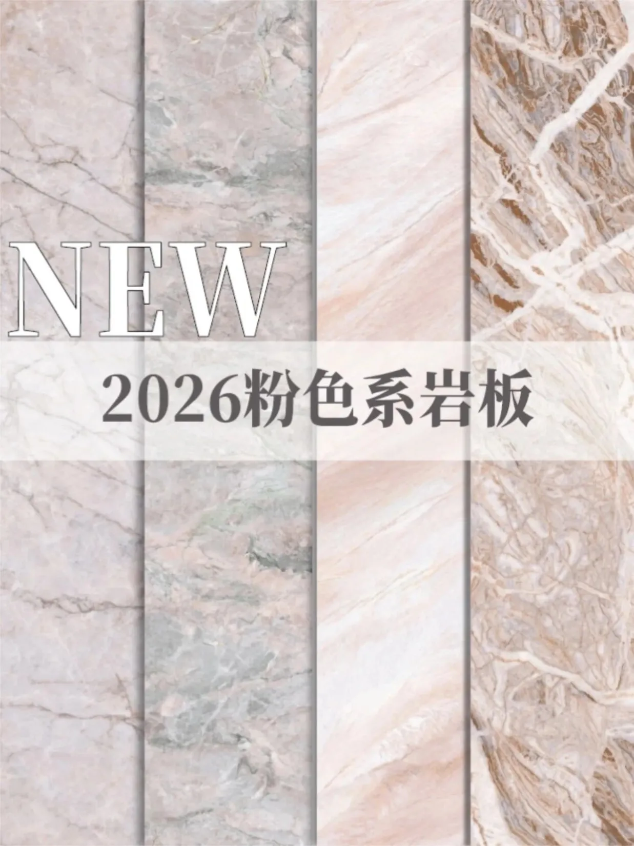 微信图片_2026-08-03_014452_367