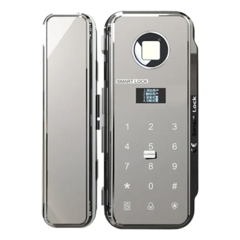 W-P SERIES.webp