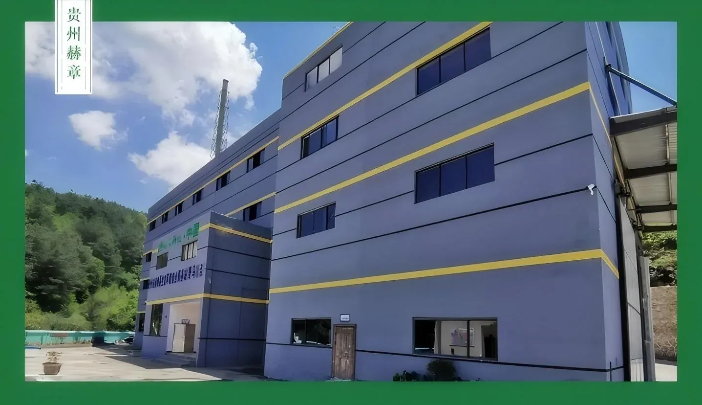 Hezhang County 60 TPD waste-to-energy station