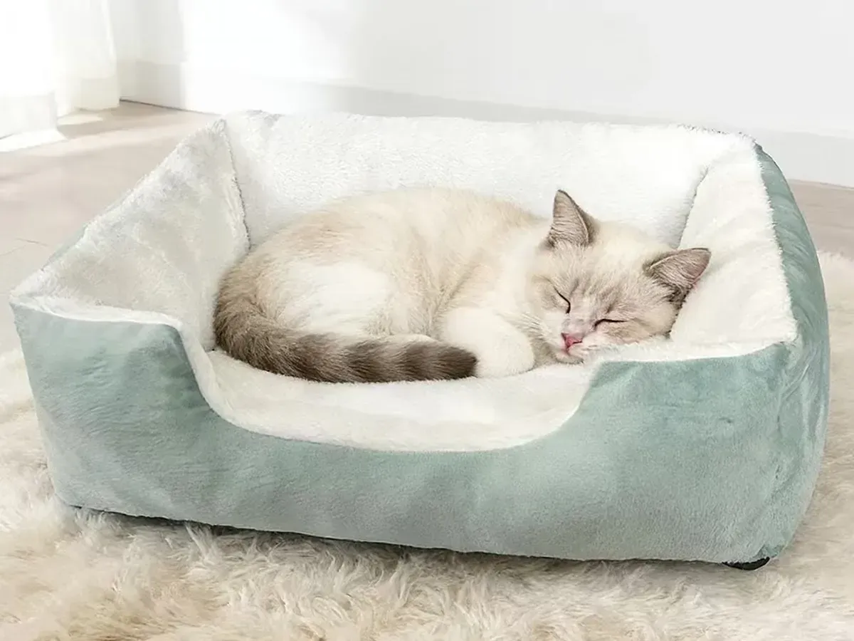Soft fabric pet bed with a fluffy lining, a cat sleeping curled up inside