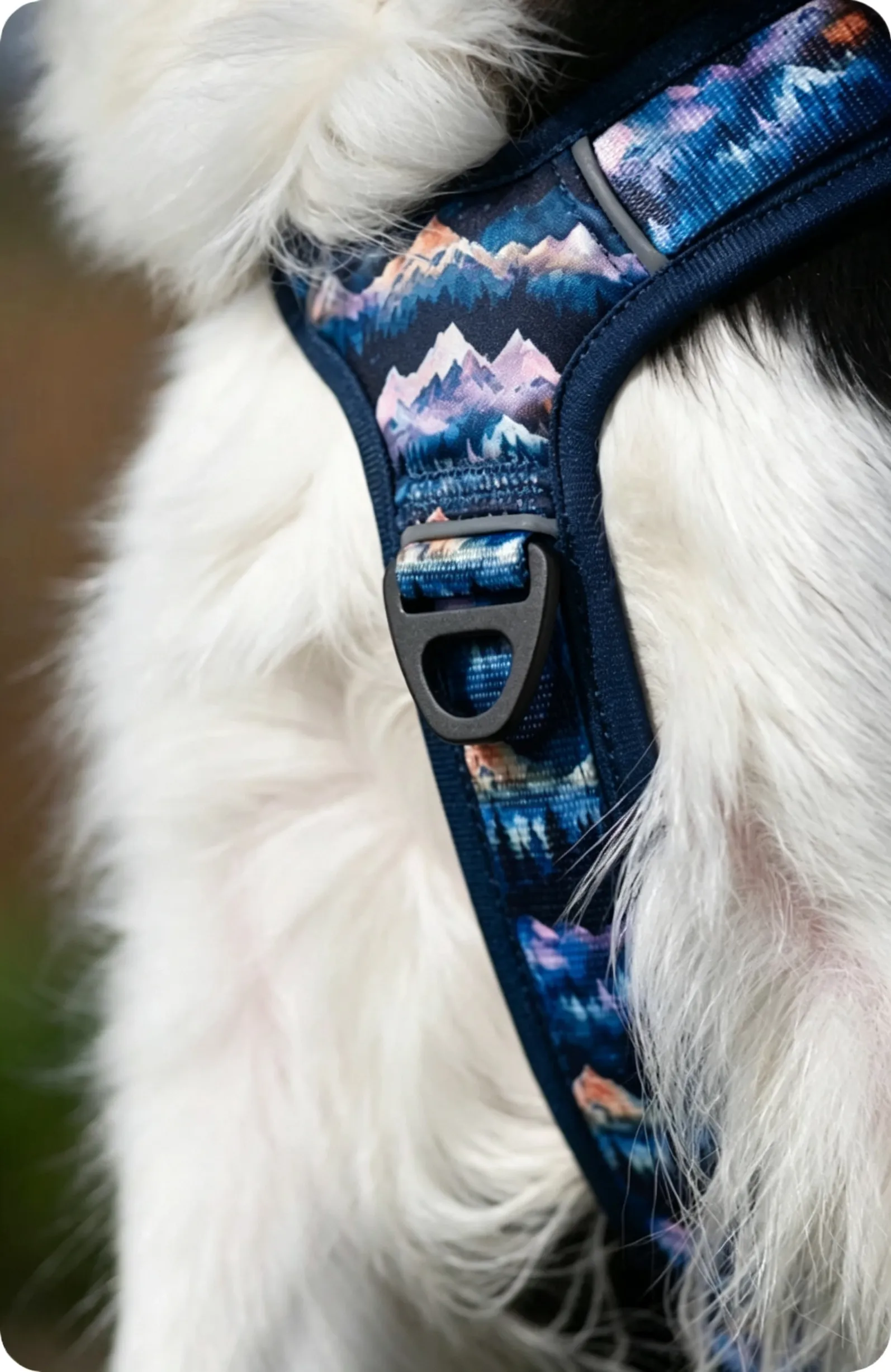 custom-dog-harness-walking-style.png