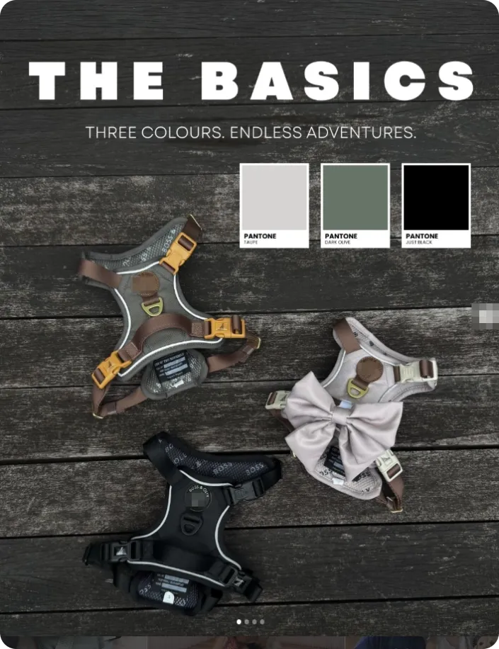 Color Blocking Dog Harness: Why Multi-Color Designs Are Transforming ...