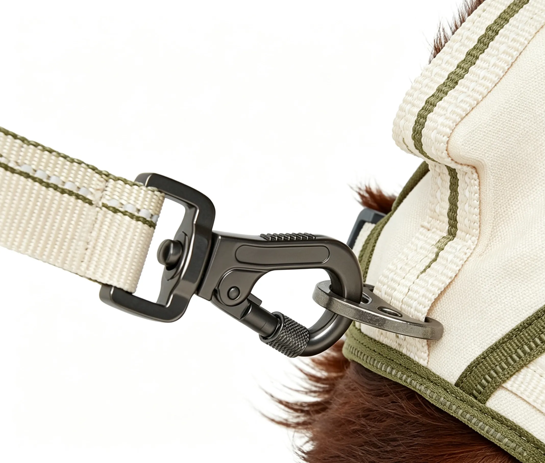 dog-leash-locking-clip-detail