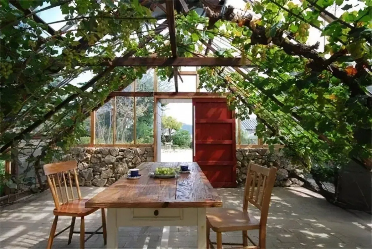 greenhouse-glass