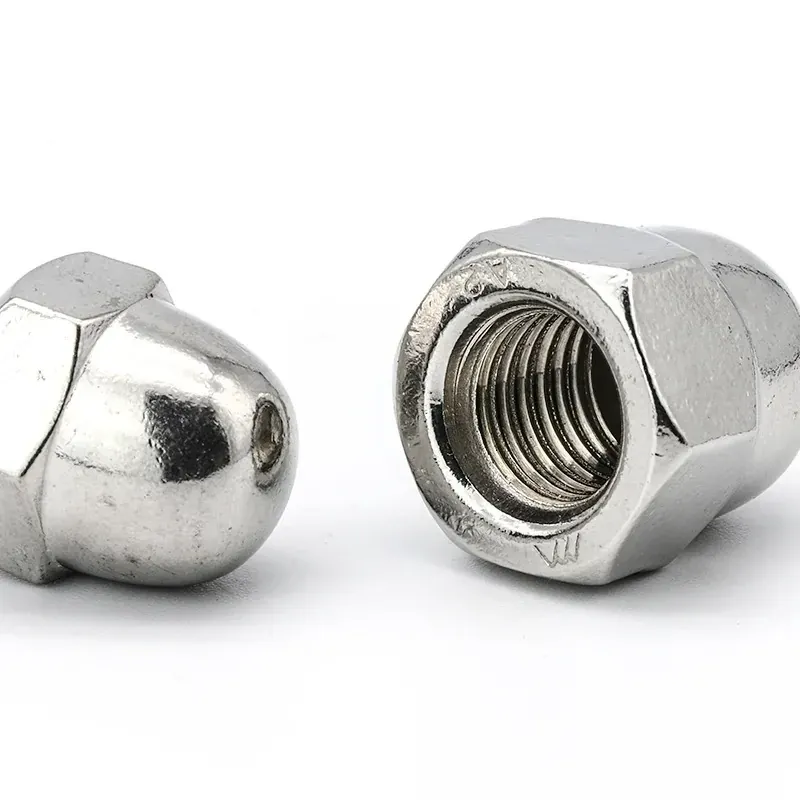 stainless steel hex cap nut: stainless steel hex cap nut 03