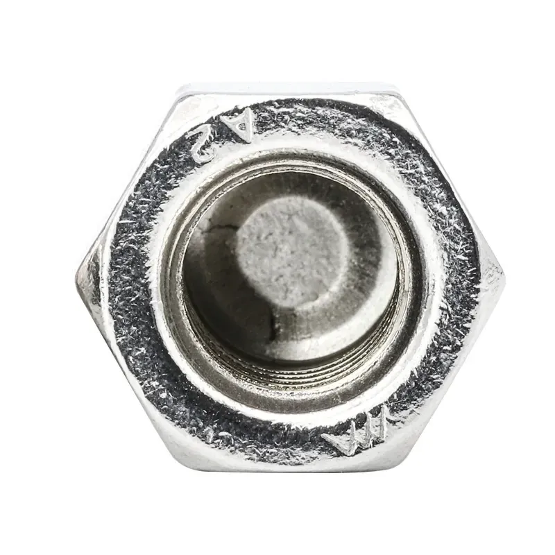stainless steel domed cap nut: stainless steel domed cap nut 01