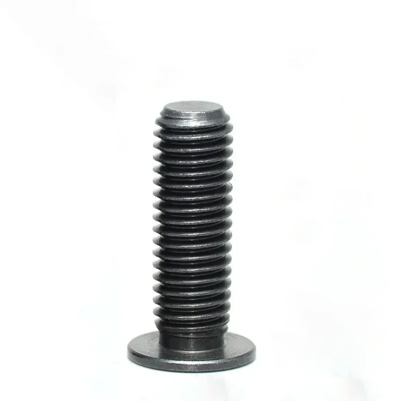 low head socket cap screw: low head socket cap screw pair 02