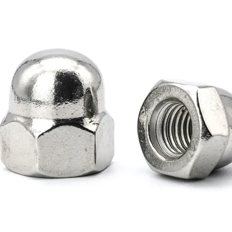 stainless steel hex cap nut: stainless steel hex cap nut 01