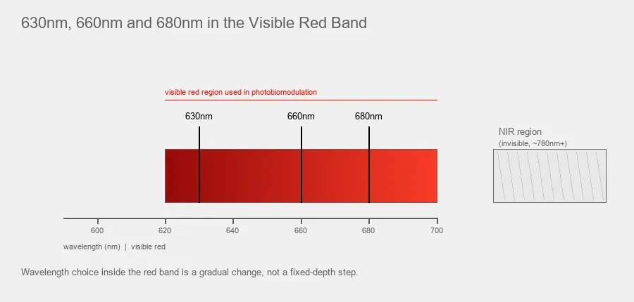 630nm 660nm and 680nm positions within the visible red photobiomodulation wavelength region