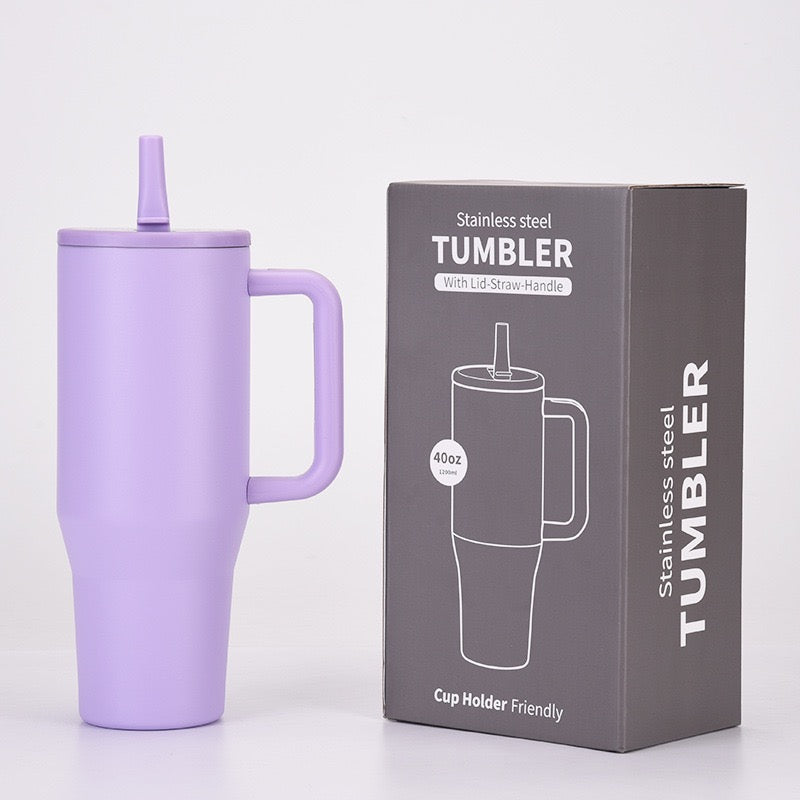 Insulated Stainless Steel Travel Bottle - BM-S005B
