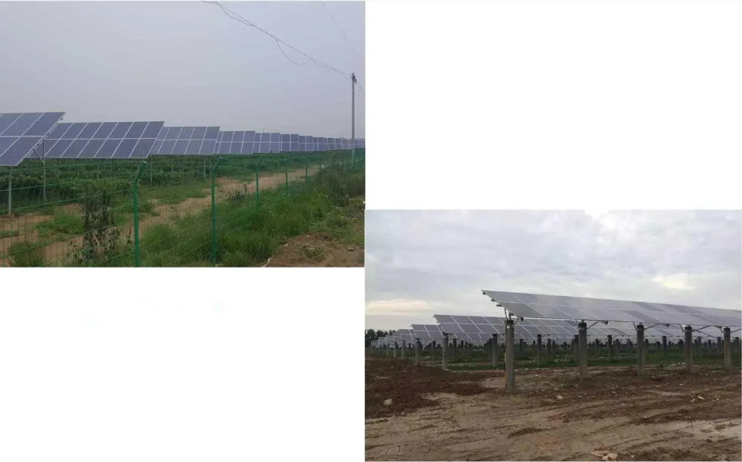 Ground mount photovoltaic bracket system with steel piles carrying rows of solar modules