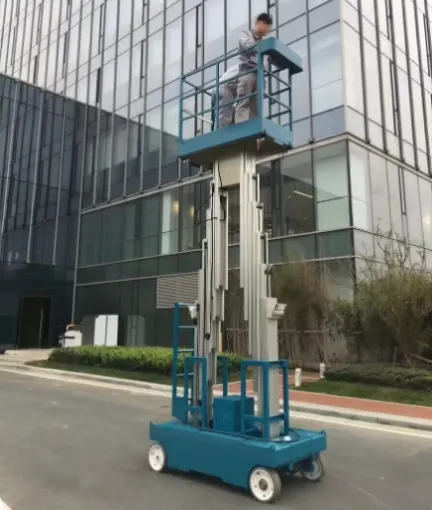 double mast vertical platform lift