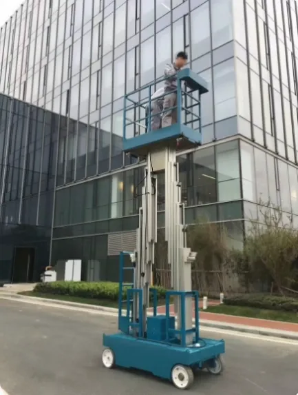 double mast vertical platform lift