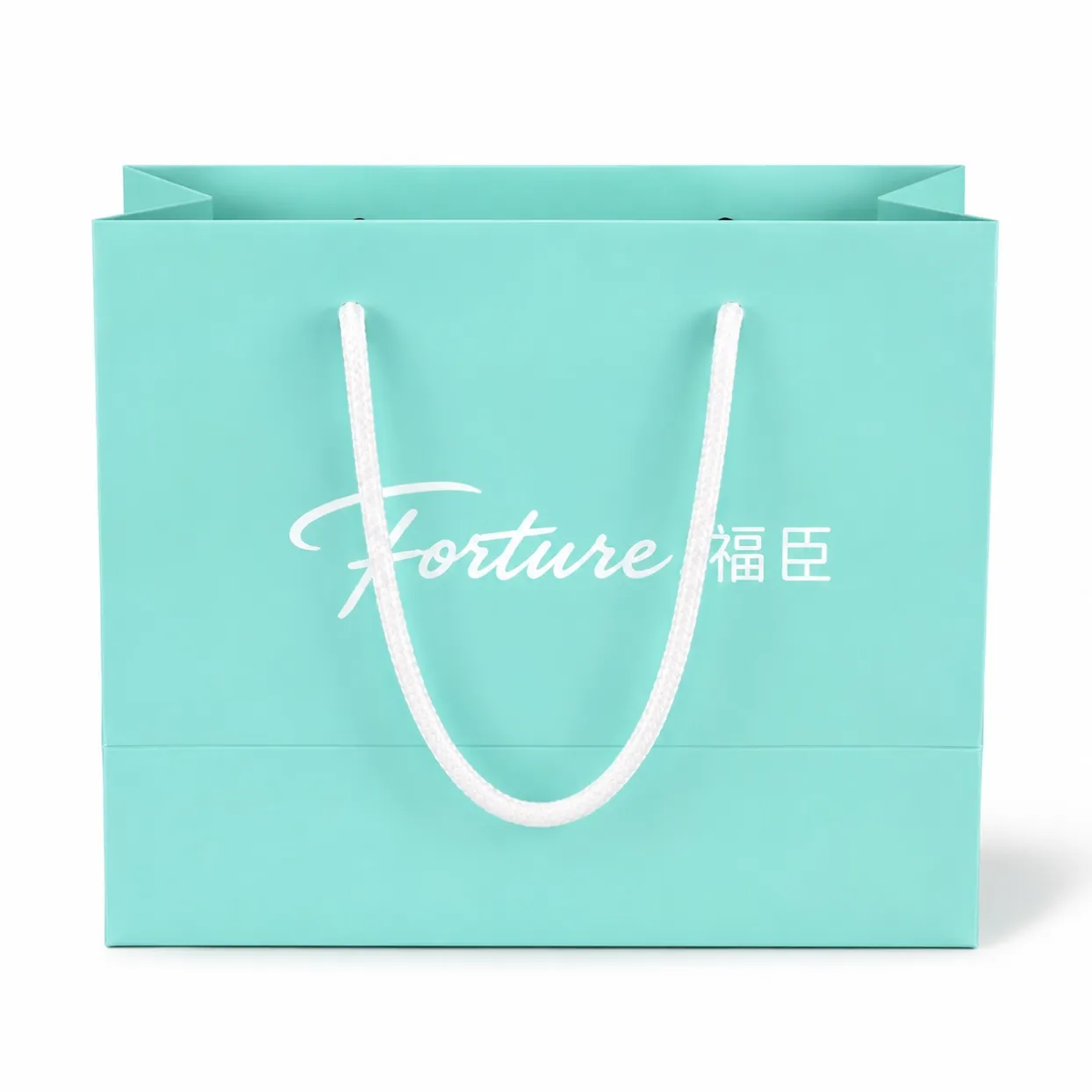 Custom Printed Paper Bags-1