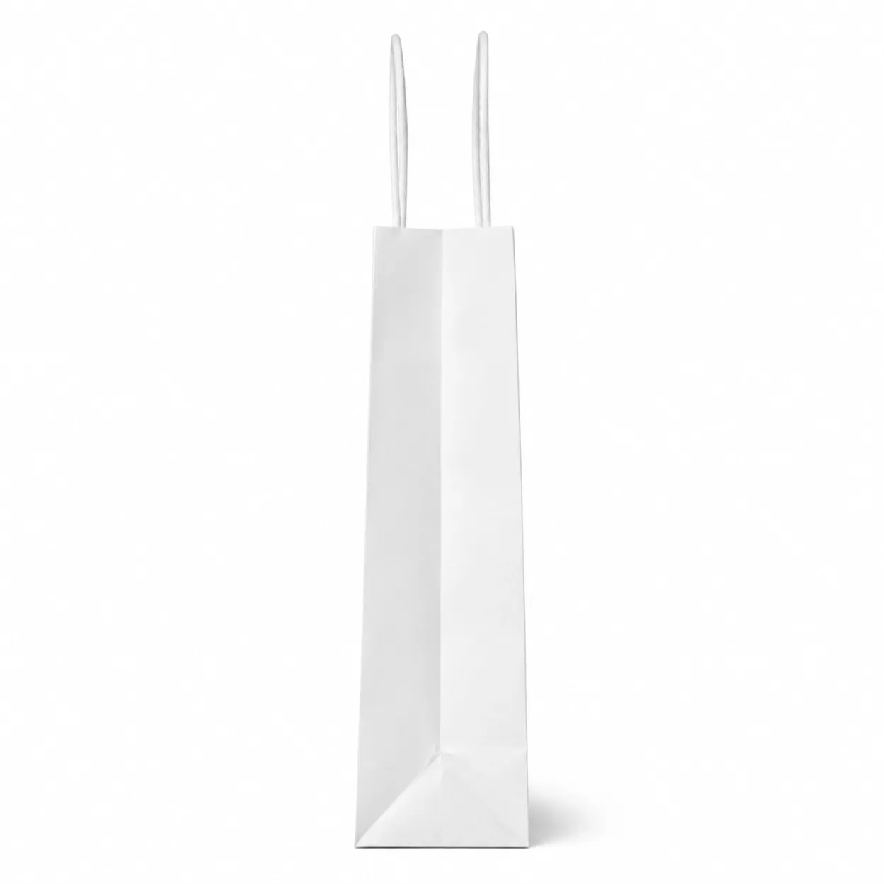 Eco Friendly Paper Bags-3