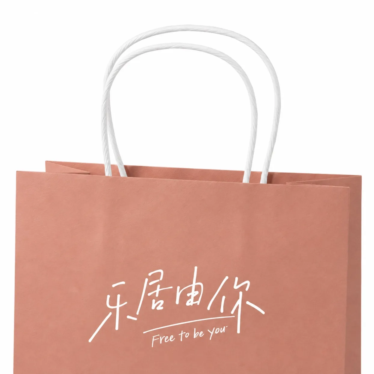 recyclable paper bags-4