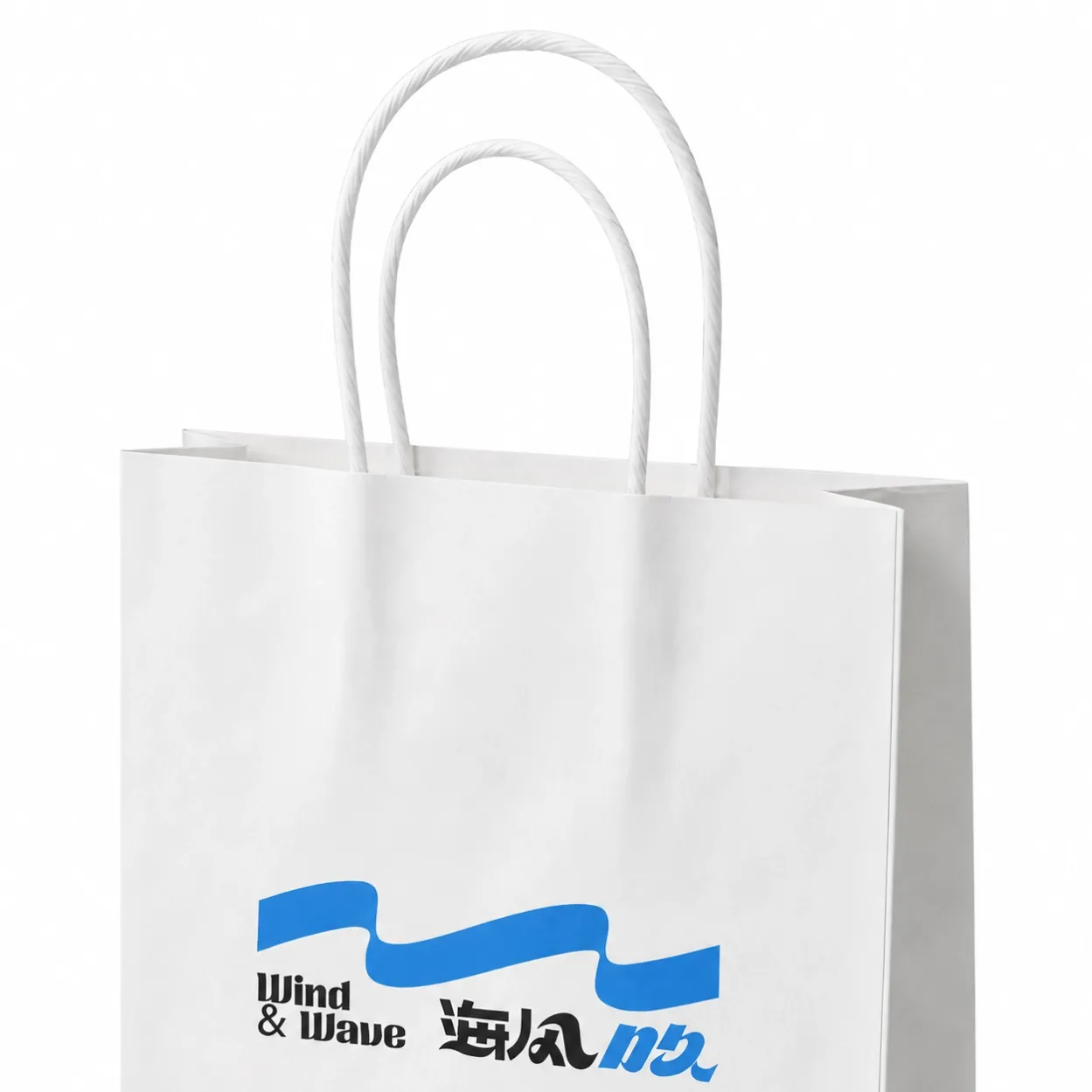 Eco Friendly Paper Bags-4