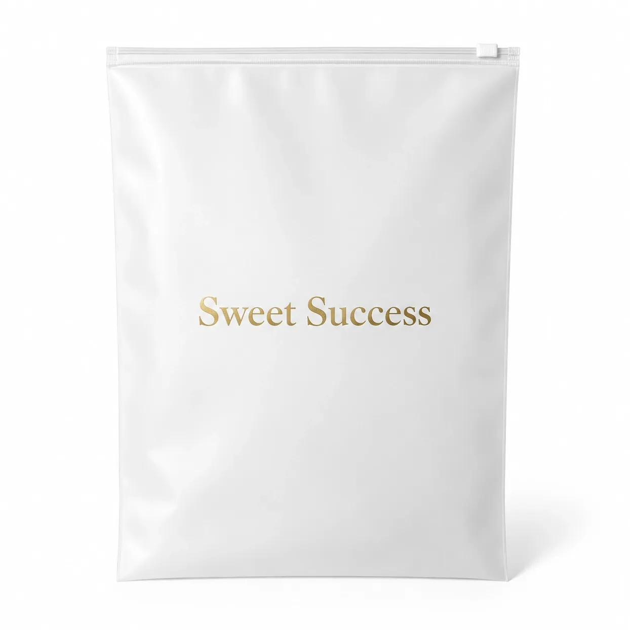 frosted-zipper-bags-4