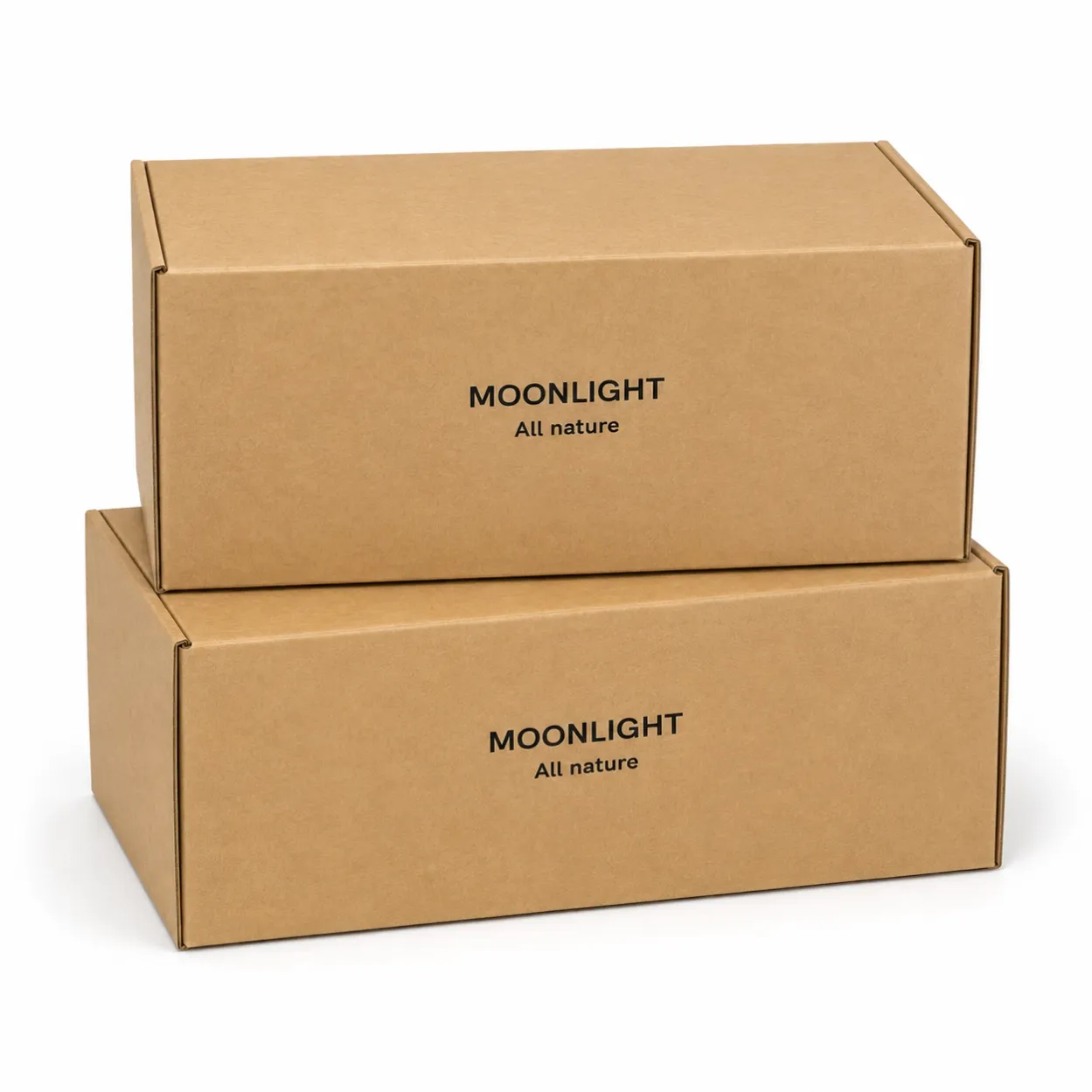 custom-logo-mailer-box-4