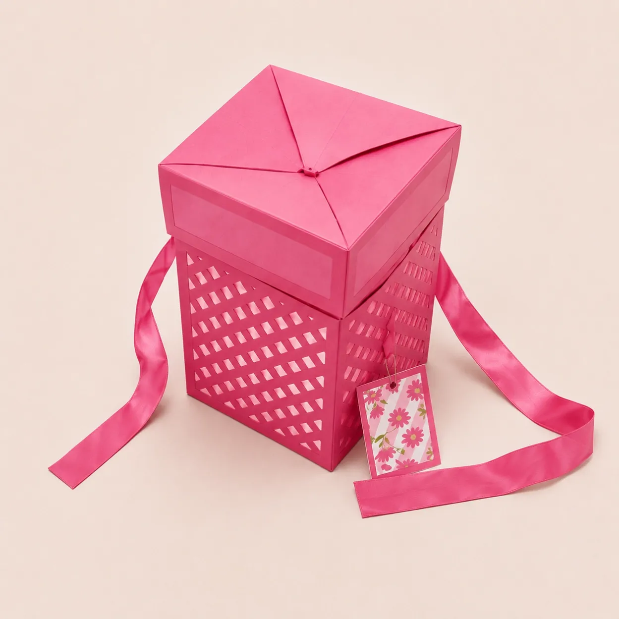 FB-002_Pink_01_Folding_Open