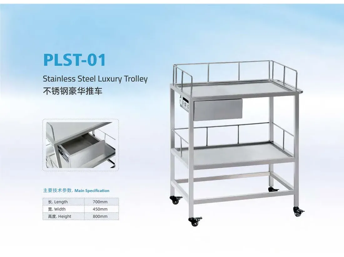 plst-01