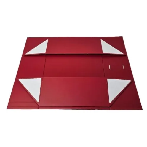 Collapsible rigid box structure with folding panels