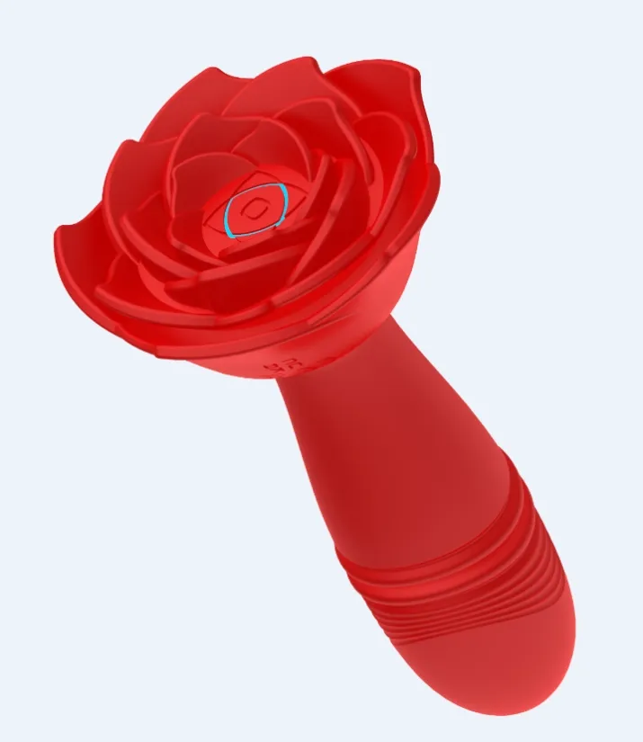 Anal Plug