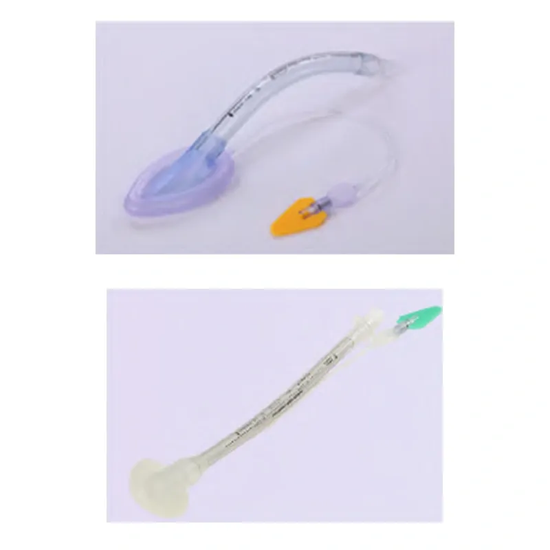 disposable-pvc-laryngeal-mask-airway-main