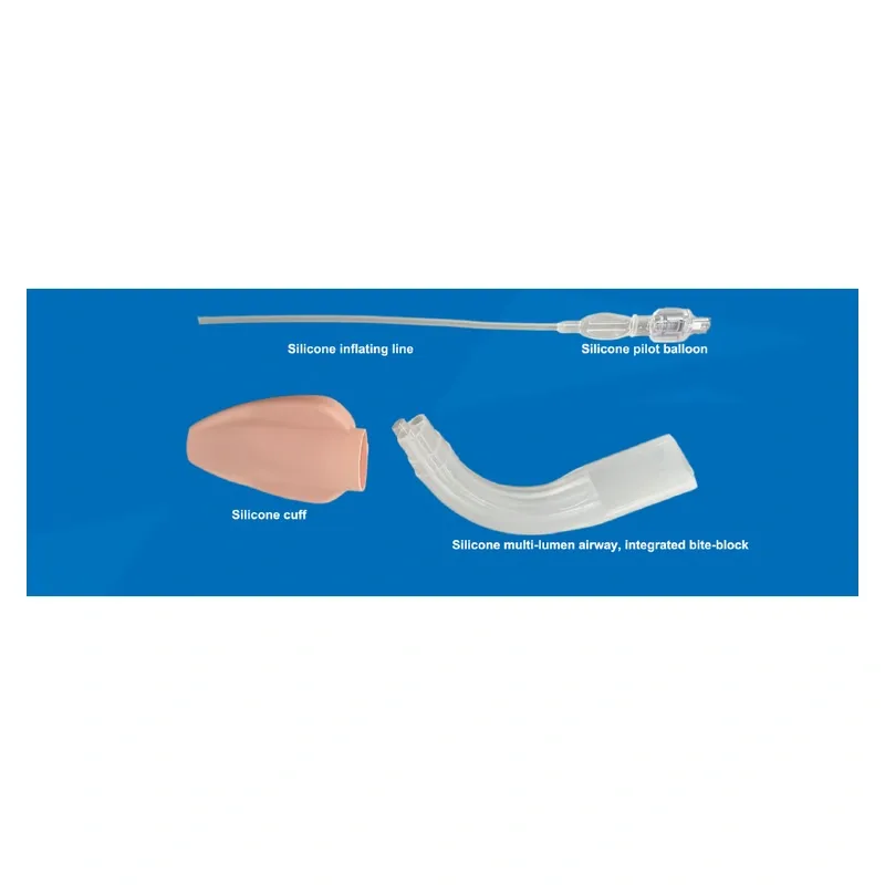 laryngeal-mask-airway-components-main