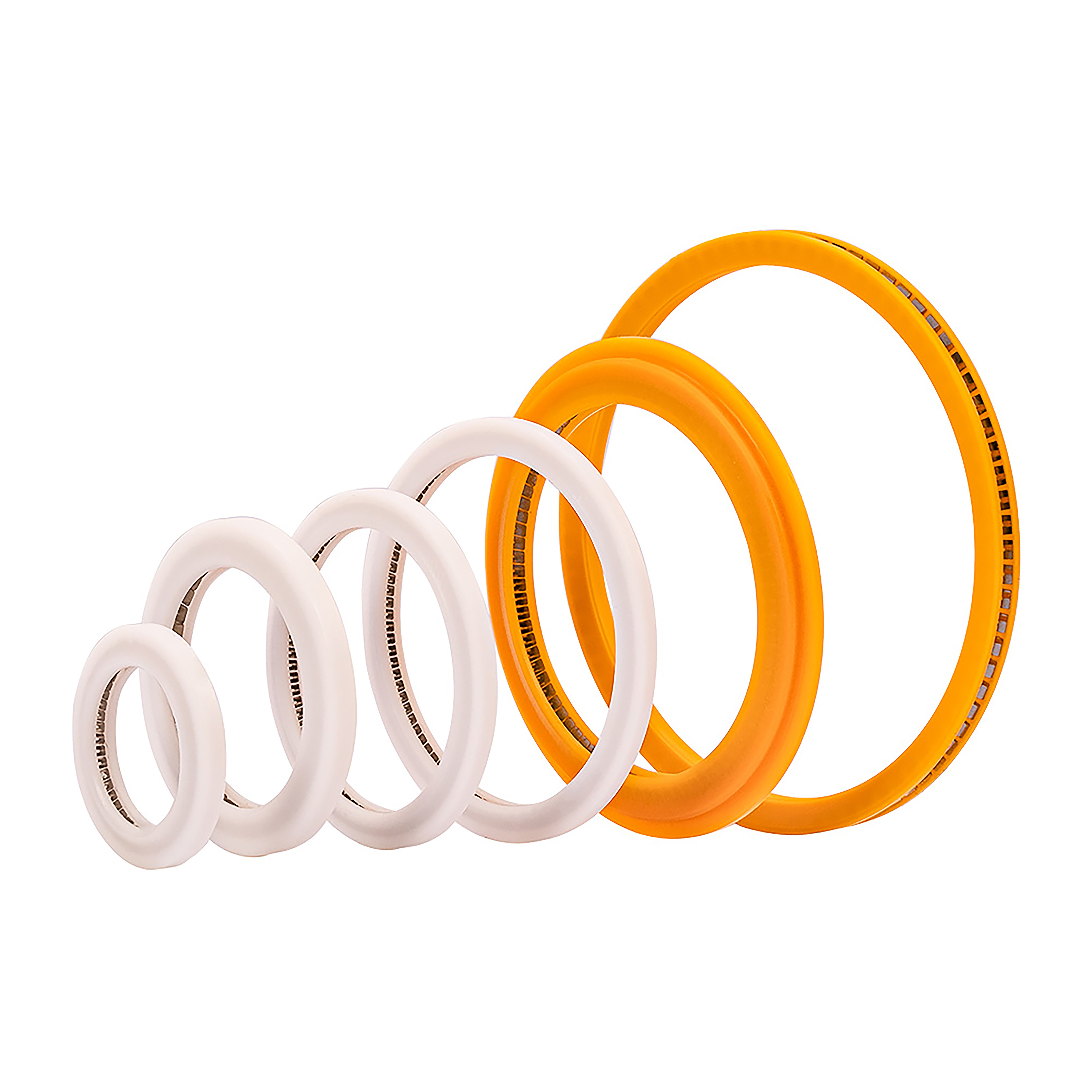 Seal Ring