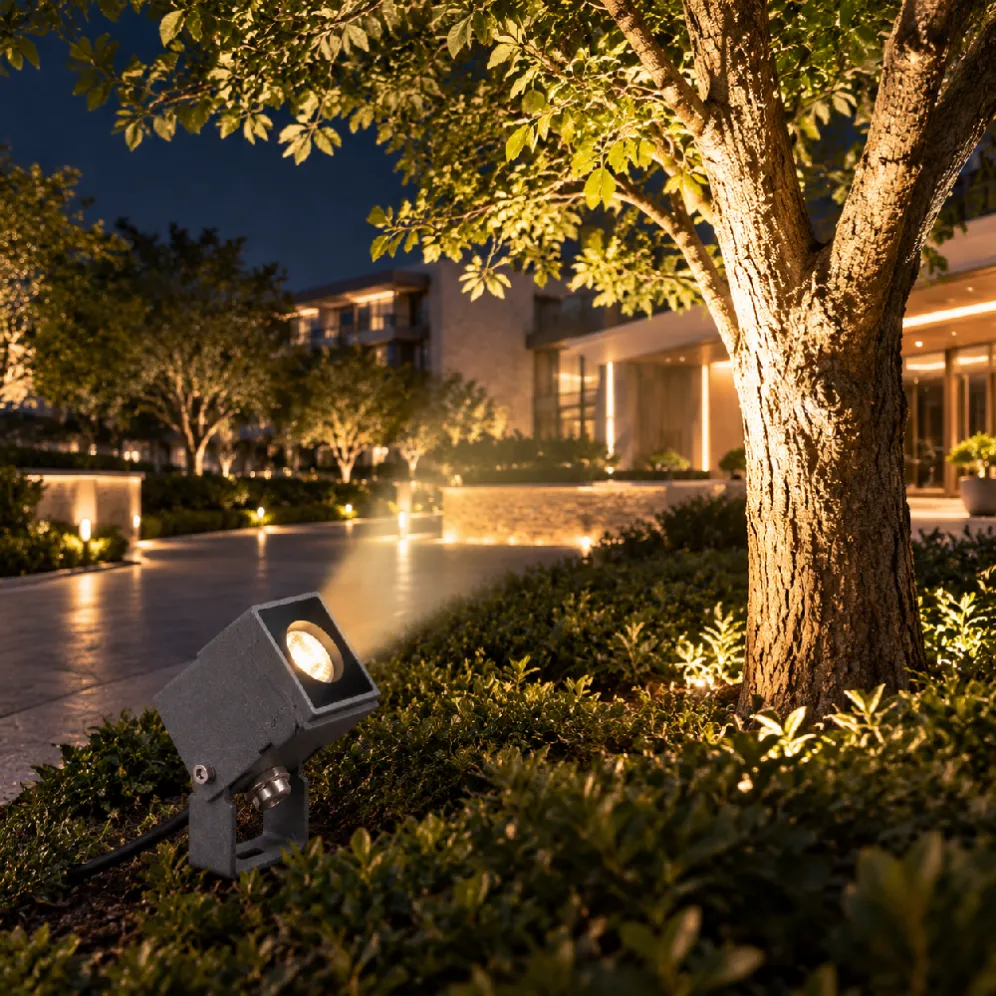 landscape spotlight (2)