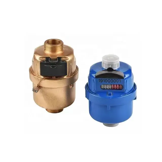 What are the controversies regarding prepaid water meters in terms of concepts, technologies and management?
