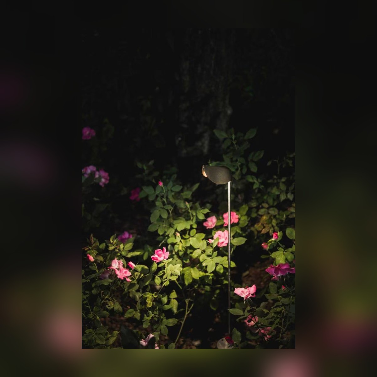 NAG-COPPER-LEAF Custom Copper Leaf Spike Light - leaf shade among perennials