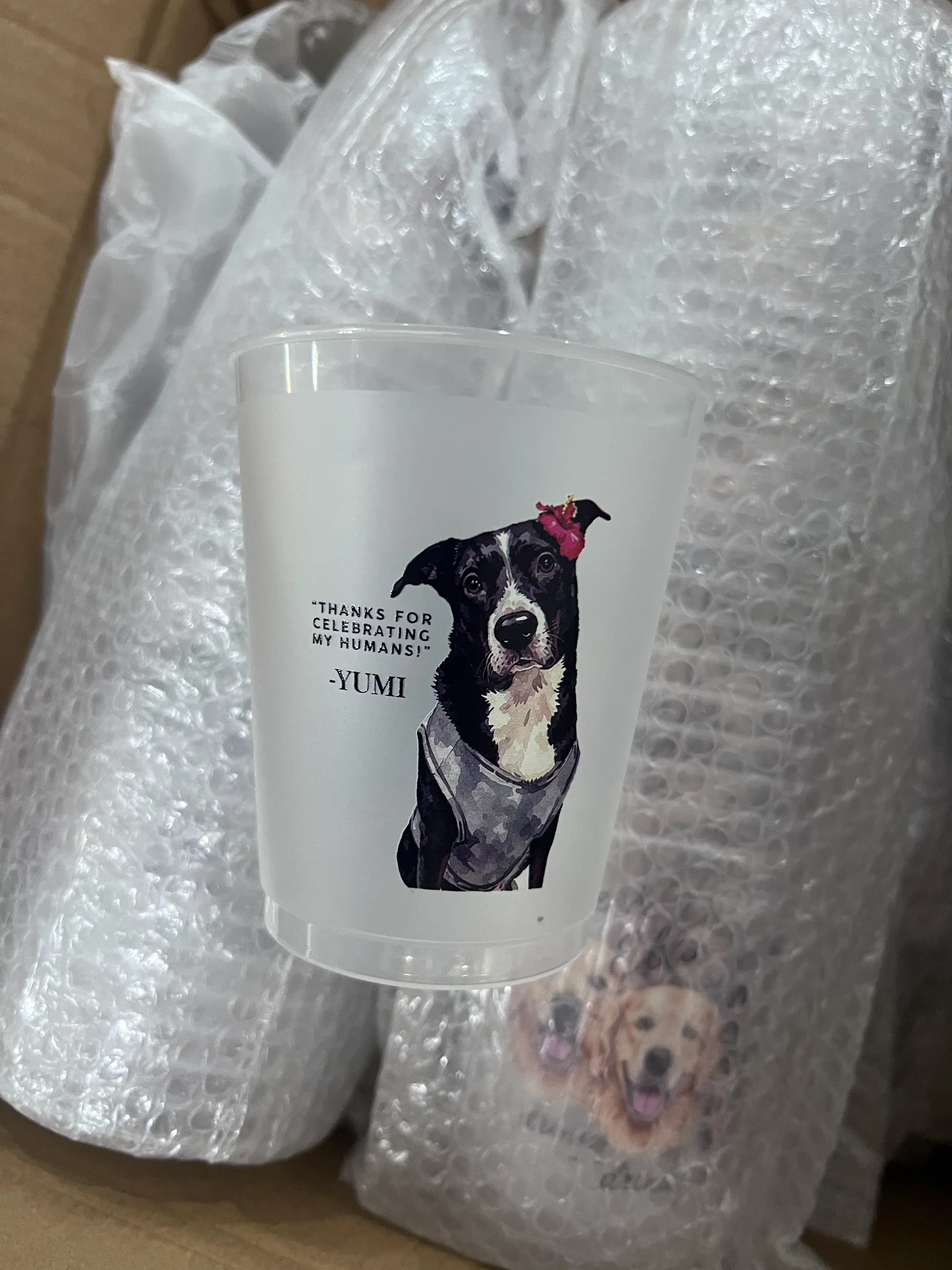 plastic frosted cups for wedding 4