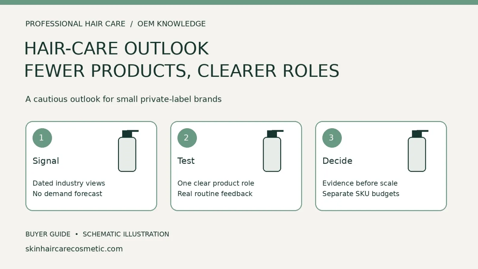 Hair-care industry outlook diagram separating dated signals, a focused product-role trial and an evidence-based decision to expand the range.