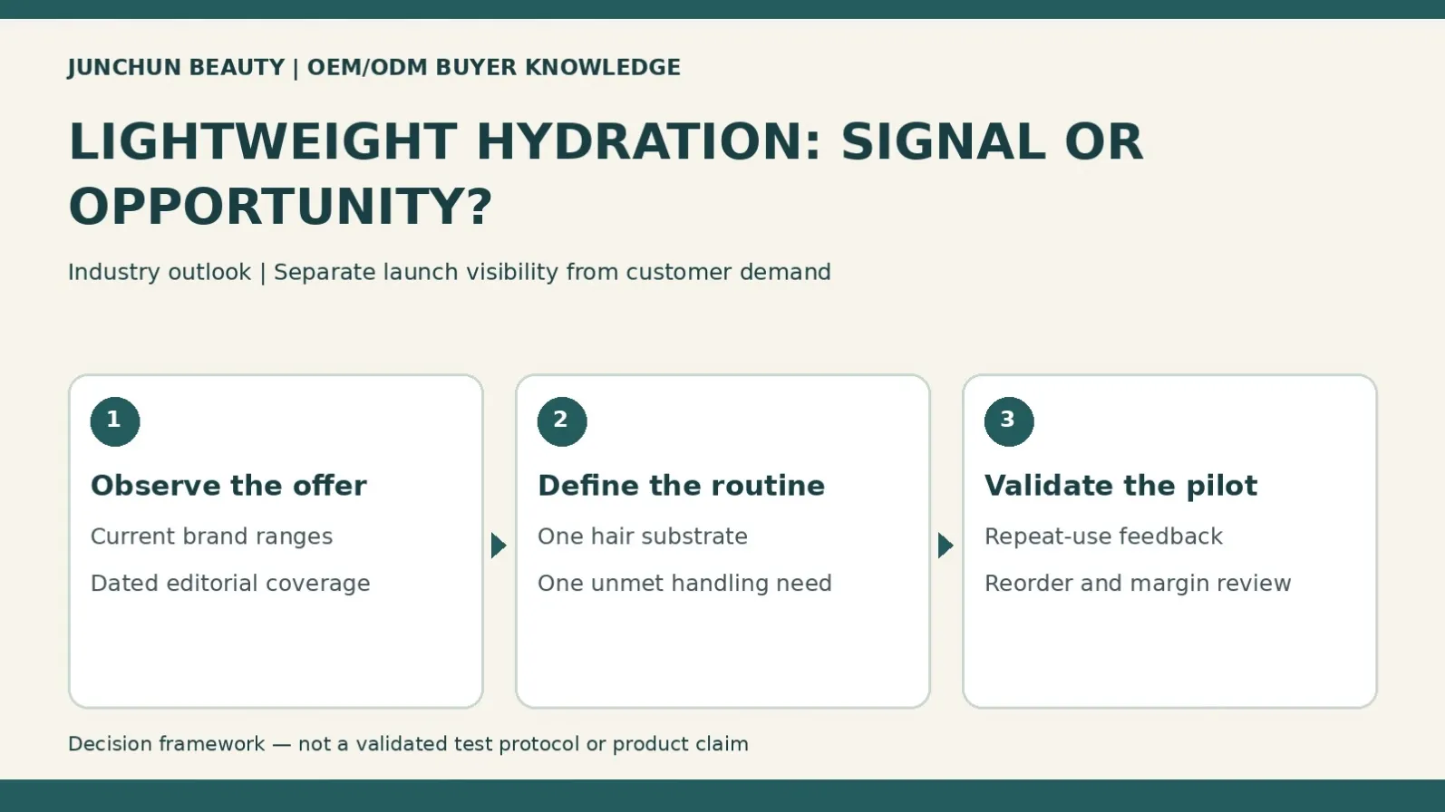 Lightweight hair-care opportunity diagram separating current brand offers, defined buyer routines and small-pilot demand validation.