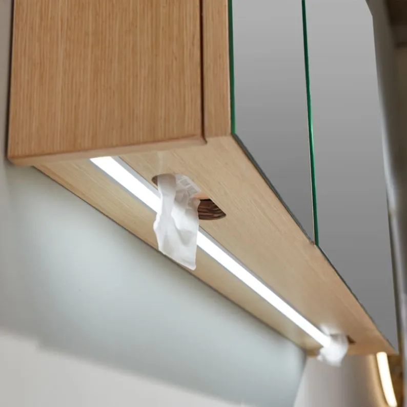 Bathroom Vanity Cabinet