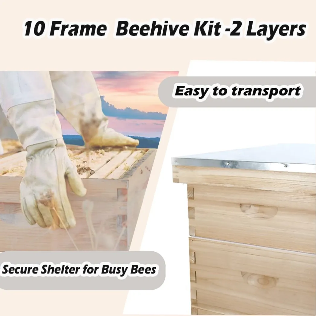 2-layer 10 frame hive-03