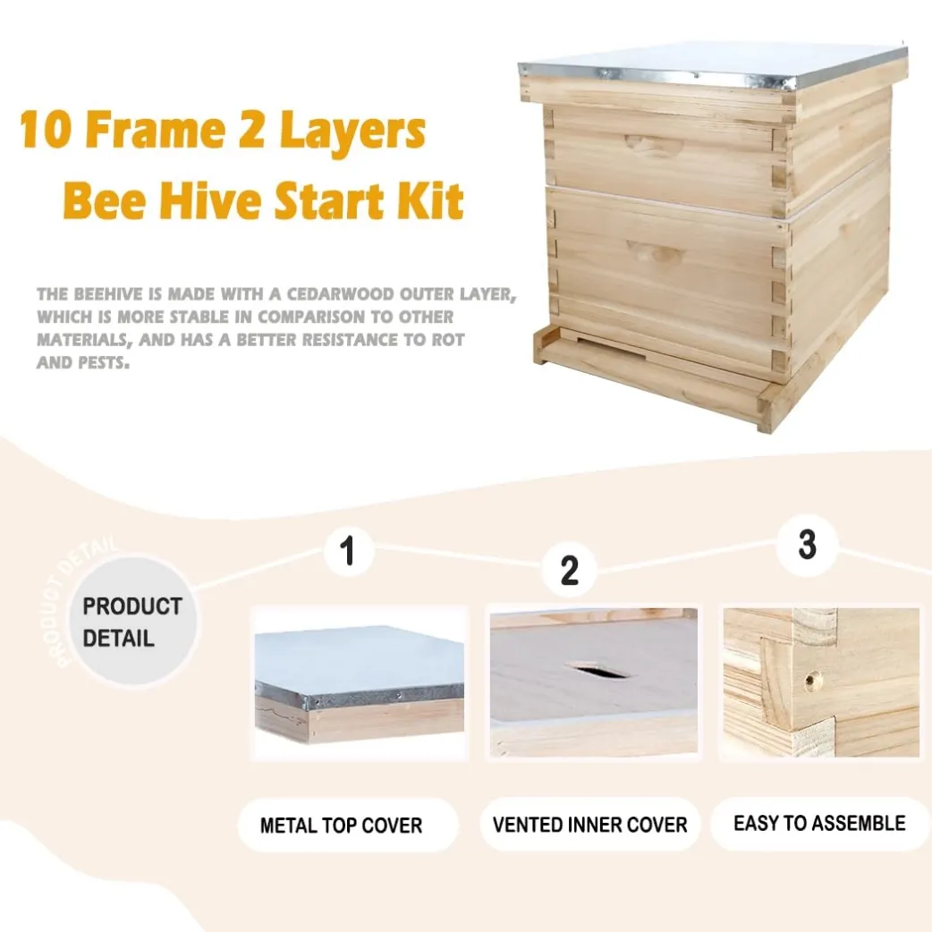 2-layer 10 frame hive-04