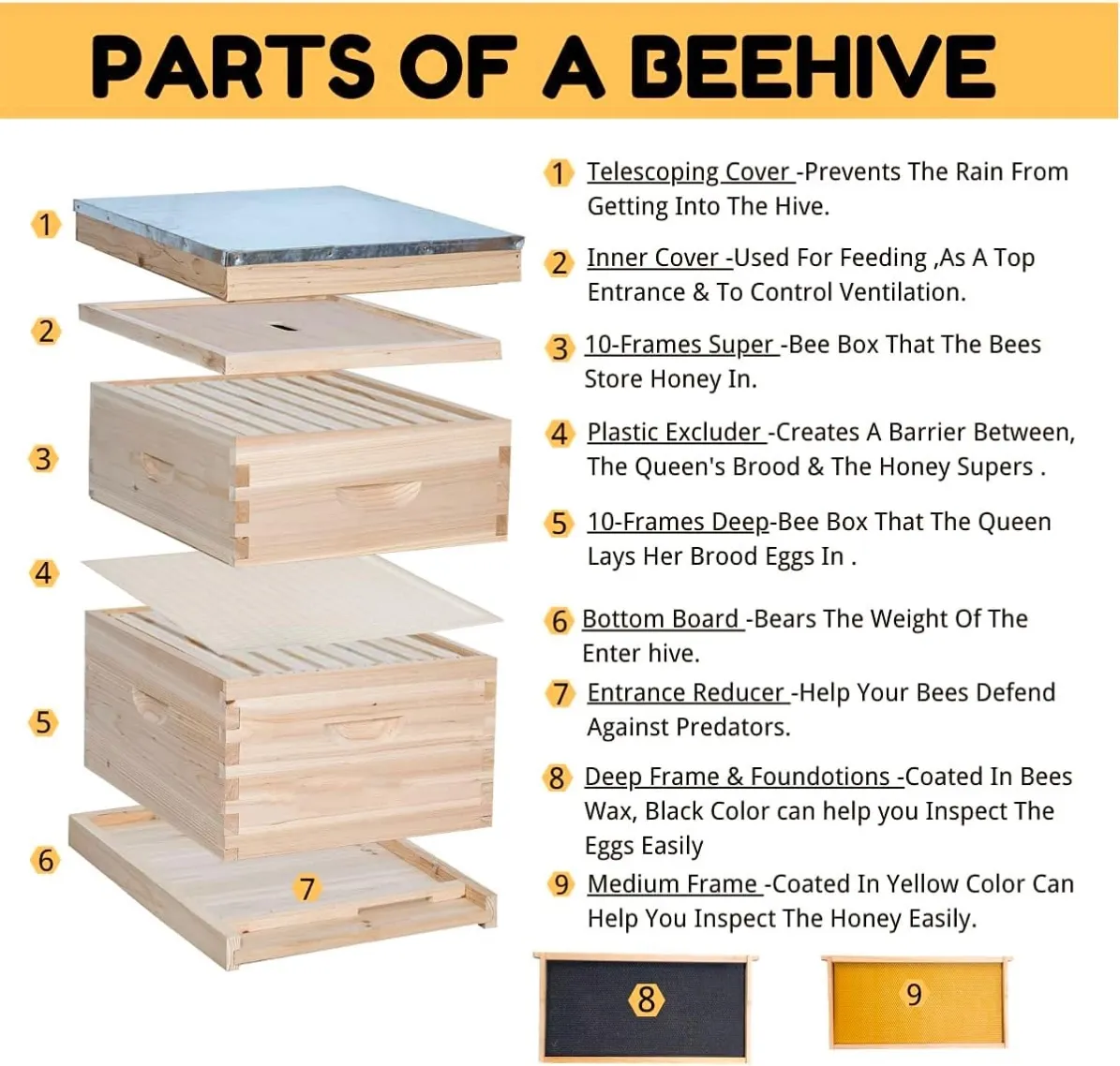2-layer 10 frame hive-05