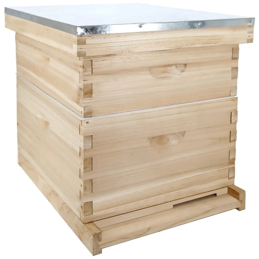 2-layer 10 frame hive-01